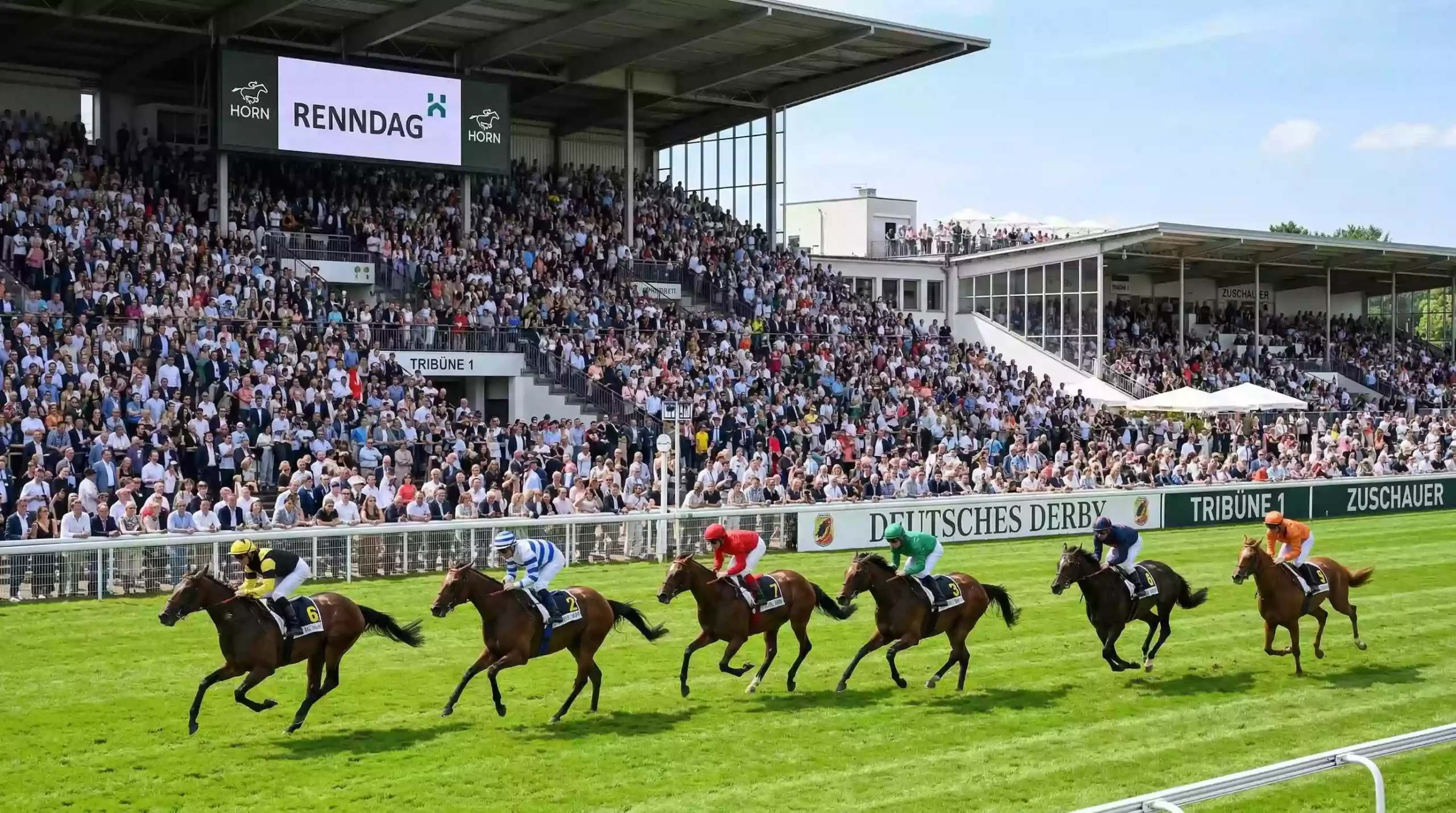 pferdewetten markt deutschland umsatz