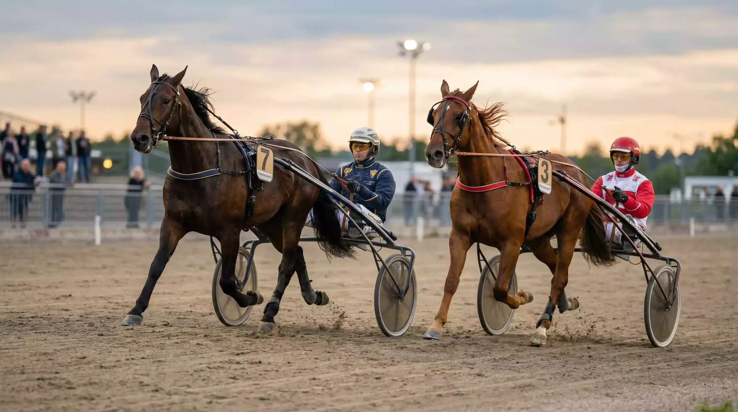 trabrennen wetten tipps sulky