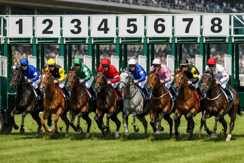 viererwette fuenferwette pferderennen